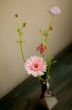 花瓶の花