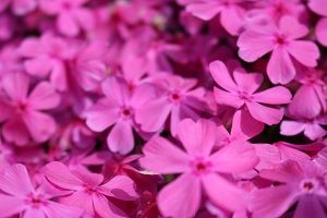 IMG_9585