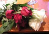 赤と白の薔薇