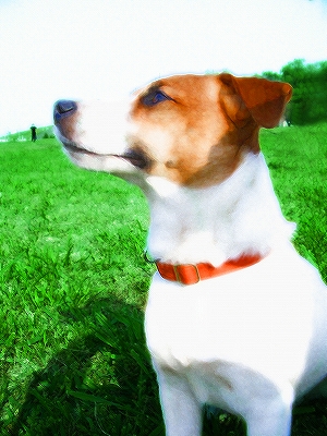 �֥롼�ɥå�4