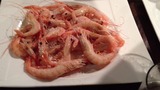 IMG_0597