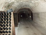 DSCF3111