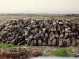 写真 12-01-11 1 12 30