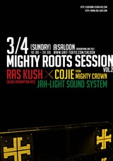 flyer_MRSv2_1203表