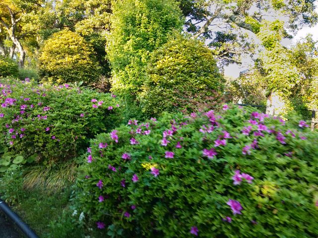 IMG20190504170921