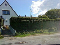DSC00171