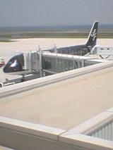 また飛行機