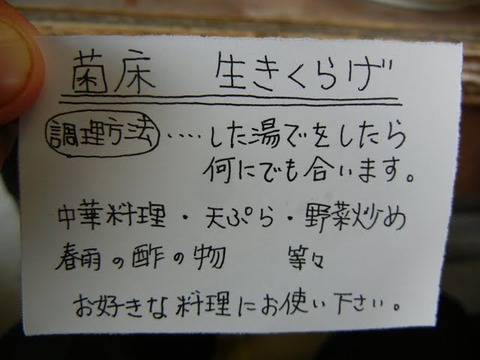 DSCN2716