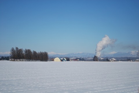 DSC_1386 (800x536)