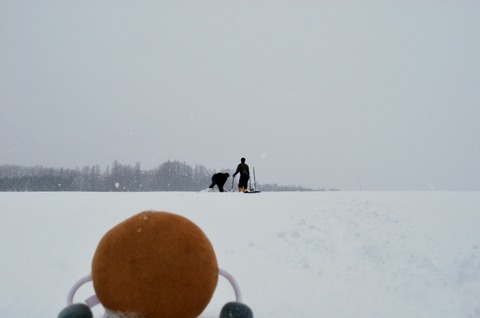 DSC_0017 (800x536)