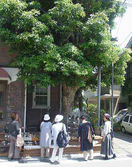 小林商会in鎌倉Plants
