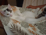 DSC00404