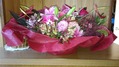 DSC_0234 (Small)