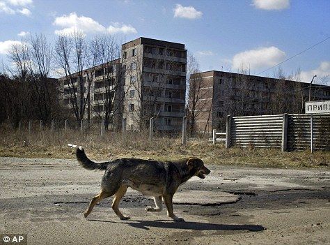 fukushima-vs-chernobyl-2