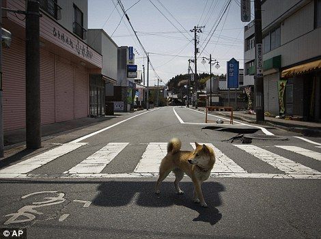 fukushima-vs-chernobyl-1