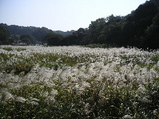 040e7f18.jpg