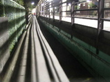 122a4cce.jpg