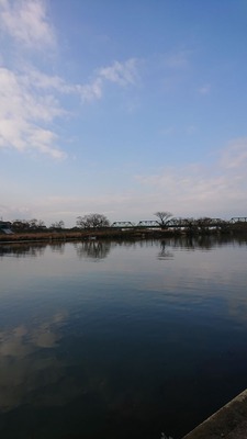 DSC_1096