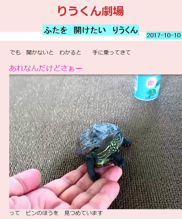 ふたを開けたい りうくん