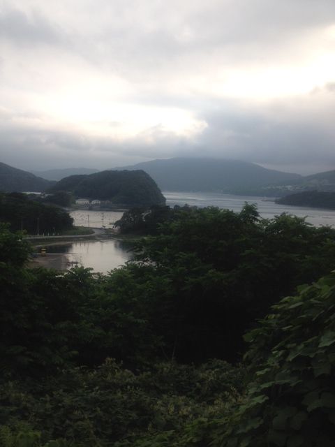写真_1~1