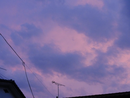DSC00824_R