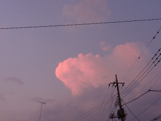 DSC00825_R