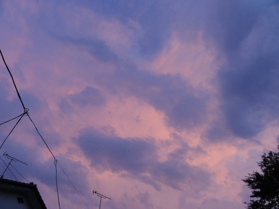 DSC00822_R
