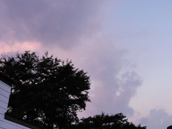 DSC00823_R