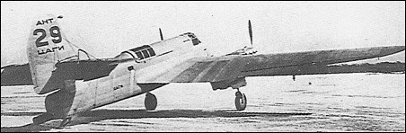ant-29_1