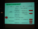 �裵��������ӥ��ͥ���ή��ʣ���