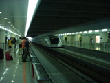 �峤�ĥ������������ʣ���