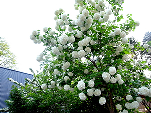 039