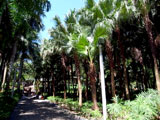 klnhk (2)