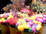 flowermarket (41)