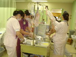DSC03250