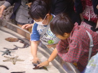 DSC08168
