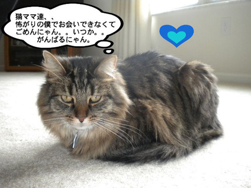 BlogPaint