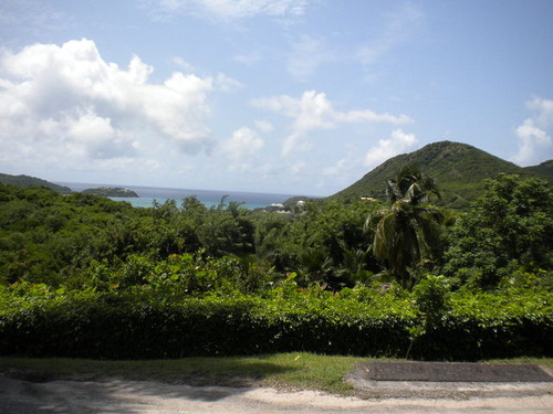 DSCN5390
