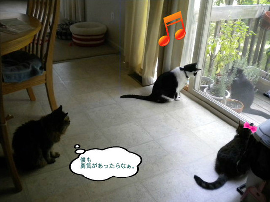 BlogPaint