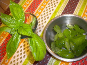 DSCN4978