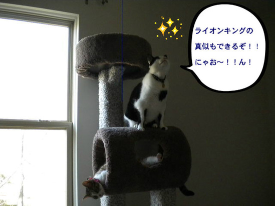 BlogPaint