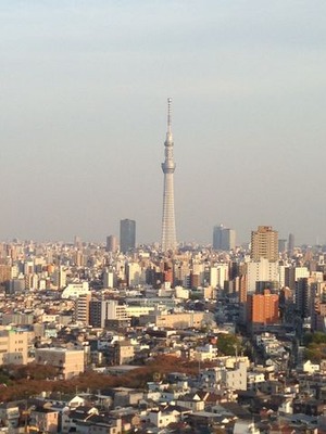 写真 4