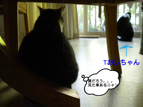 BlogPaint