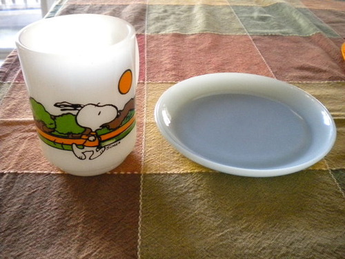 DSCN5776