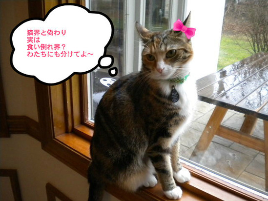 BlogPaint