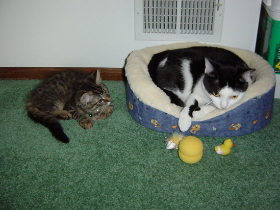 DSC00680