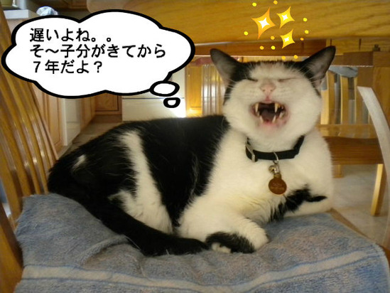 BlogPaint