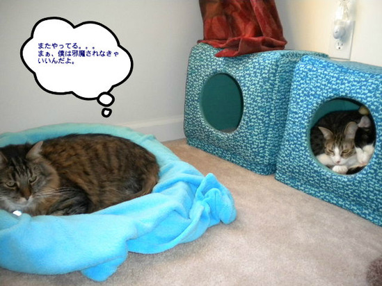 BlogPaint