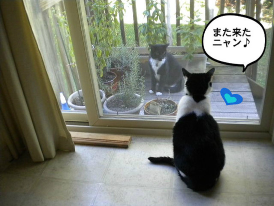 BlogPaint