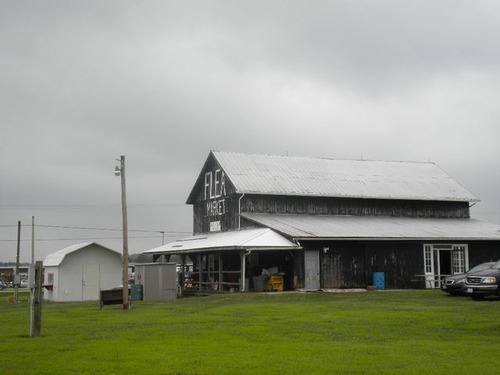 DSCN4769